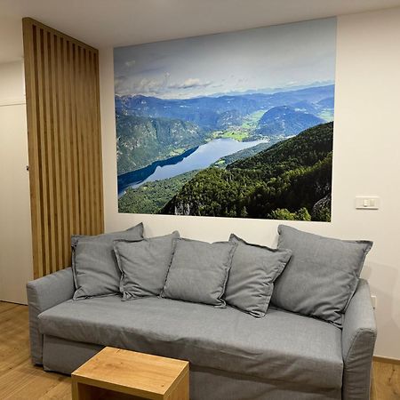 Apartma Tisa Bohinj-No Ouside Windows ภายนอก รูปภาพ