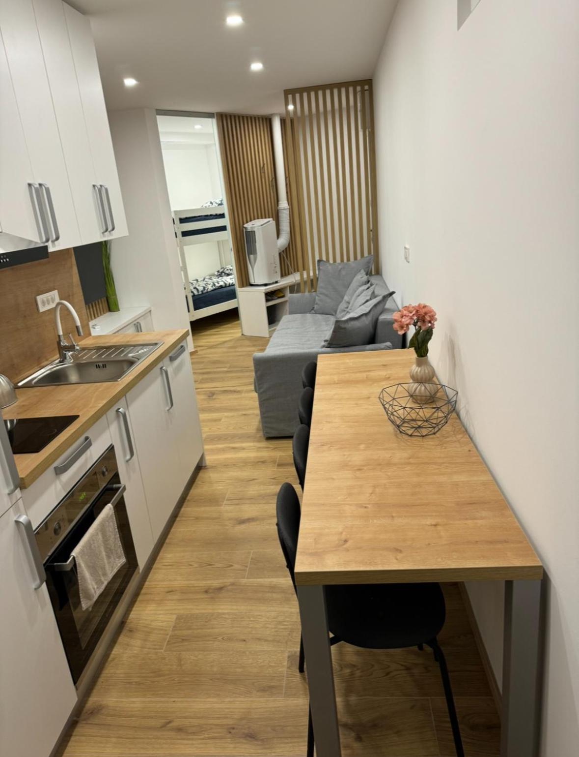 Apartma Tisa Bohinj-No Ouside Windows ภายนอก รูปภาพ